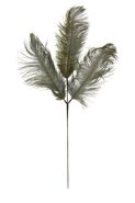 Ornament 3 Veren FEATHER Grijs/Groen - 30 x 1 x 59 cm