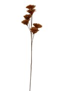 Ornament 6 Bloemen FLOWER Karamel - 25 x 12 x 110 cm