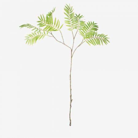 Palm phoenix tak groen 111cm