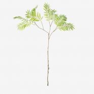 Palm phoenix tak groen 111cm