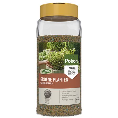 Pokon Groene Planten Voedingskorrels 800g - afbeelding 1