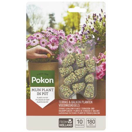 Pokon Terras & Balkon Planten Voedingskegels 10 stuks - afbeelding 1