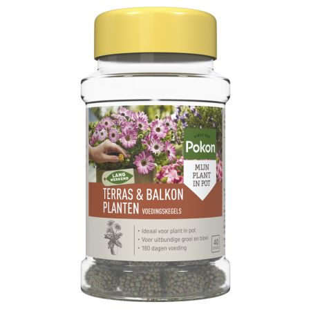 Pokon Terras & Balkon Planten Voedingskegels 40 stuks - afbeelding 2