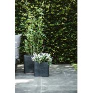 Capi Europe - Pot vierkant Rib NL 30x30x30 zwart - afbeelding 2